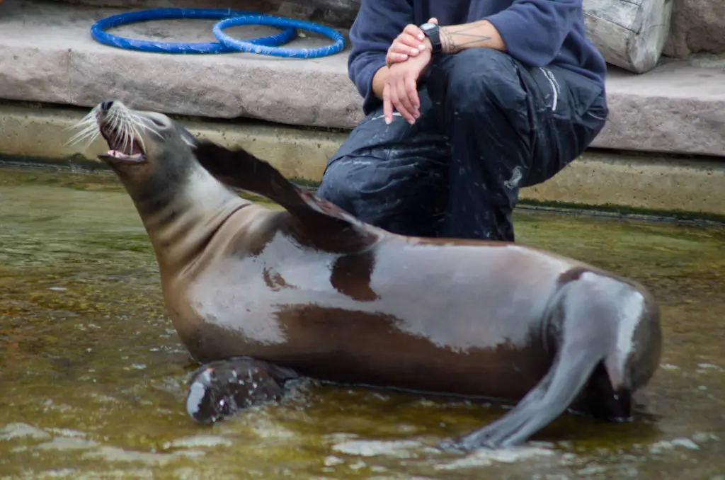 Nürnberger Zoo