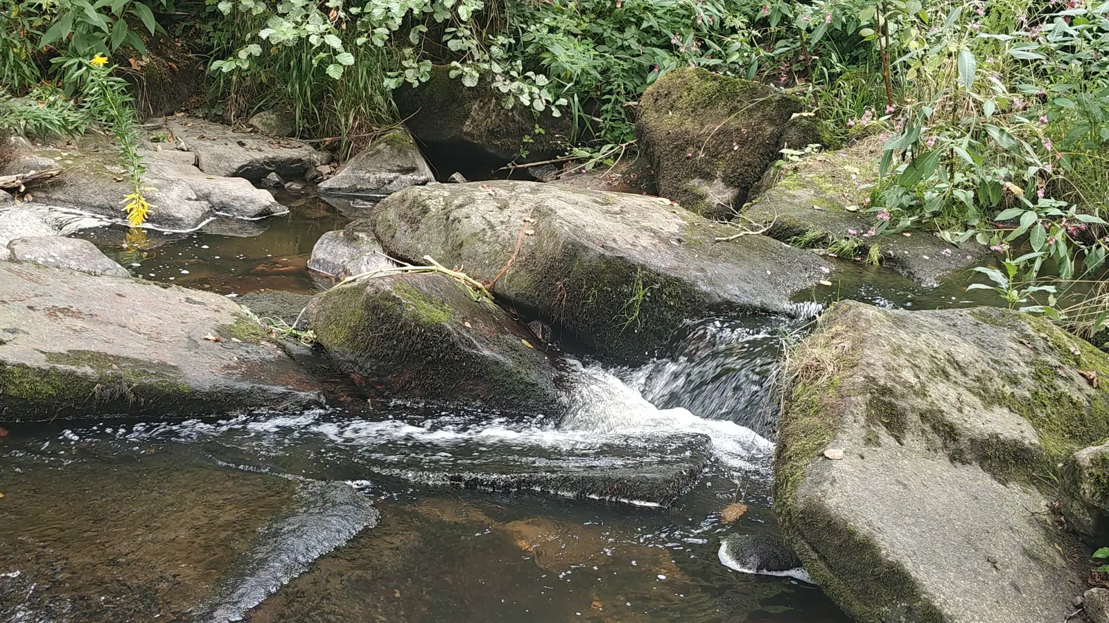 Urlaub in Niederbayern - Waldkirchen